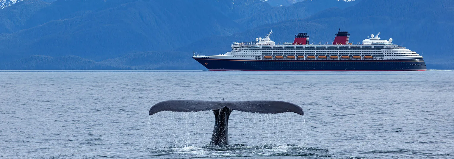 banner-is-alaska-the-new-europe-why-are-americans-choosing-it-1